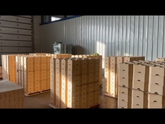 DN14 Fire Clay Brick Low Porosity Clay Brick 42%-47% Al2o3 High Temp Fire Brick